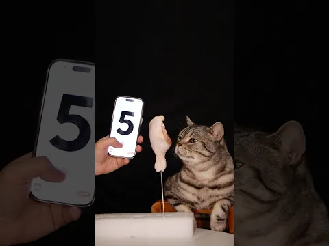 Random bite with my cat momo