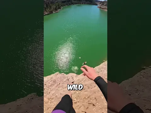 Shocking Underwater Discovery 🤯