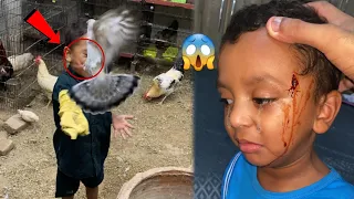 Tame Pigeon Ka Nail Lag Gaya 😱😱
