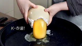 지름 50cm K-하울정식으로 동심파괴하기 (feat.윙잇)