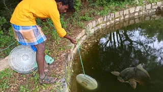 Fish trap making & fishing 🐠வயல் காட்டு கிணத்துல மீன் வேட்டை @Adventures Of Venu
