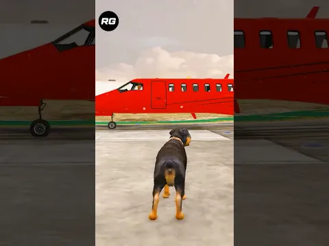 GTA5 : Dogs Teach Us Love In Its Purest Form 🥰🥺💔 Part-21 #shorts #shortsfeed #gta5