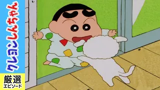 【クレヨンしんちゃん厳選】シロが行方不明だゾ《アニメ公式》