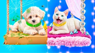 We Build a Secret Room for Pets! Rich Cat vs Poor Dog!