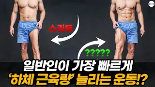 스쿼트 없이 가장 빠르게 하체를 키우는 최고의 하체운동!? [헬린이 탈출을 위한 운동정보]