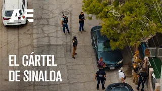 🇲🇽🏃‍♂️ Buscando un pez gordo - CAZADORES DE FUGITIVOS MÉXICO