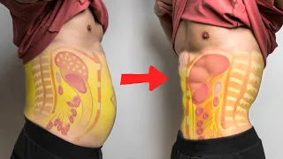 【减小腰围!】如何3步减掉内脏脂肪(含详细攻略)