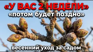 Не сделаете это в марте — будете бороться с болезнями всё лето
