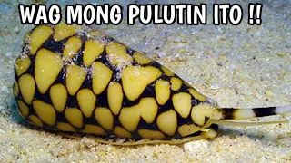 LAMANG DAGAT NA NAKAKATAKOT MALIBAN SA PATING !