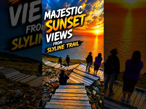Majestic sunset 🌇 views from skyline trail #sunset #views