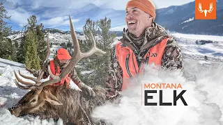 MeatEater Season 12 | Montana Elk Ep. 2