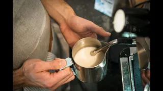 FOAMING PLANT-BASED DRINKS | Barista Techniques
