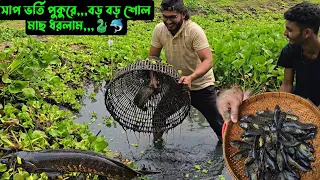 সাপ ভর্তি পুকুরে,,,বড় বড় শোল মাছ ধরলাম,,,🐍🐬