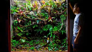 Giant DIY 600 Gallon Jungle Vivarium