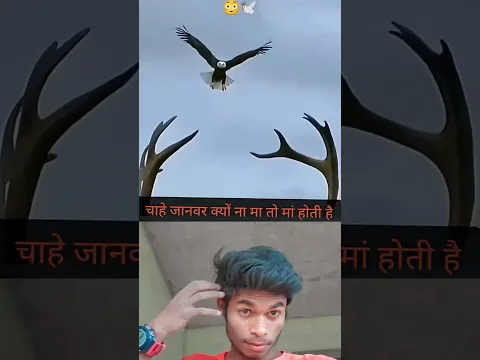 10M PLEASE SAPORT ME 🥹 1subscribe 🥹😭