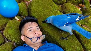 Silent Comedy - Rat Race | Short Film
