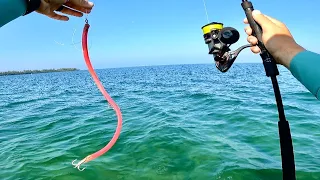 FOUR Hours Of Kayak Fishing The Florida Keys | Jigging Mutton Snapper, Trolling Mackerel & More
