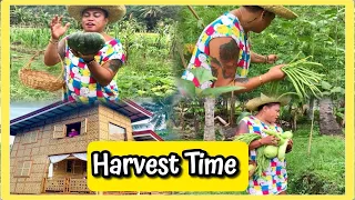 Fresh from the Farm.