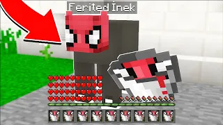 FERİTED VS MİNECRAFT #31