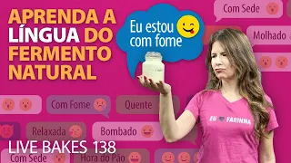 Esse é o atalho que você precisa para conhecer o seu fermento natural de uma vez por todas