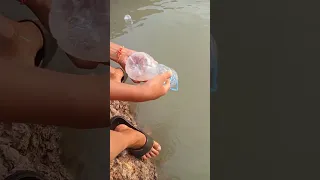 Simple but effective technique for catching fish. #fishing #viralvideo #trending #fypage