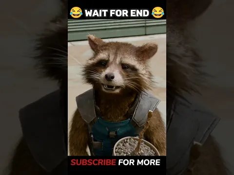 "ankh hi nahi hogi..."🤣| Rocket funny moments| Guardians of the galaxy #shorts #marvel