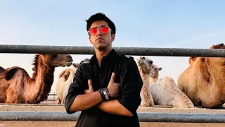 Gala Kharaab, par Zindagi Laajawaab