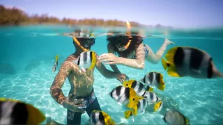 Escape to Tahiti - Hilton Mo'orea