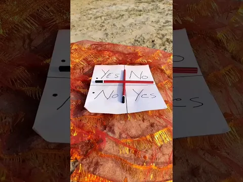 Charlie Charlie Are You Here 😶😱🤯| चार्ली चार्ली क्या तुम यहां पर हो #shorts