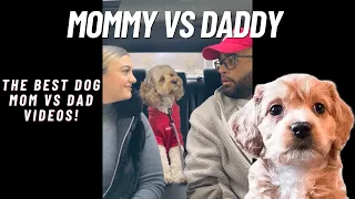 The Best Dog Mom vs Dad Videos!