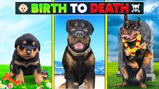 Chop's Birth To Death In GTA 5