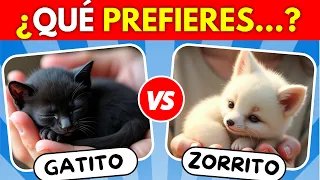 ¿Qué PREFIERES? 🐶 Edición ANIMALES 🐸🐼