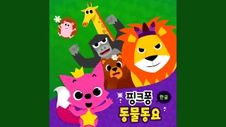 상어 가족 (상어 가족)