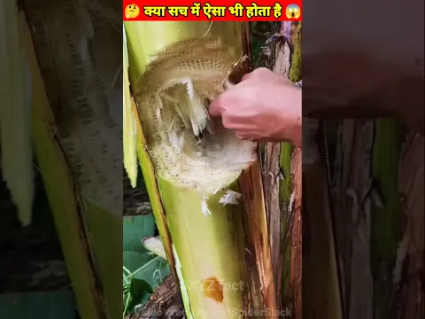क्या सच में सिक्का निकलेगा❓🤯~This is impossible 😱@MRINDIANHACKER  @CrazyXYZ  #shorts #viral