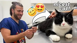 BU KEDİ GERÇEK Mİ? 😍 ( Böyle Uslusu Gelmedi! ) @menalcicek