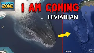Deep Sea Creatures Are Scared | Leviathan Mystery | Deep Sea Mystery