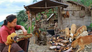 survival in the rainforest-women found water lilies with fishs for herself -Eating delicious HD