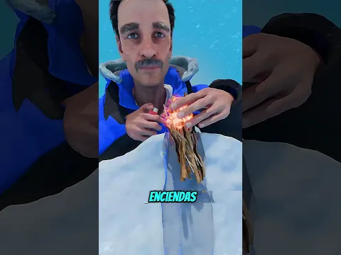 ¿Cómo Funciona Una Estufa Dakota de Nieve? 😮