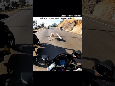 Biker Crashed with Dog #trending #motovlog #funny #bikelover #comedy #rider #viral #shorts #vlog #h2
