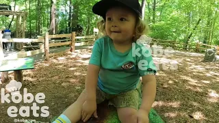 CHEF KOBE VISITS THE DINO TRAIL
