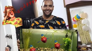 كيفية شراء وتأسيس حوض سمك من الألف إلى الياء وبالأسعار 🔱💪