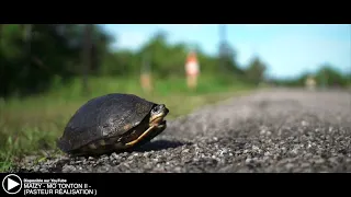 my clip reel at the start of 2021 ( réalisé par pasteur )