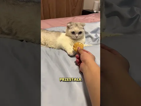 Ta Kotka Myślała Ze Jej Najlepszy Przyjaciel Nie Zyje❤️