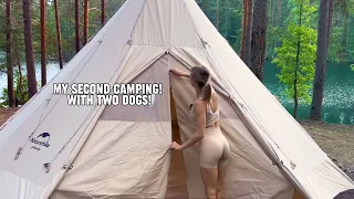 My second camping! With two dogs! [ ASMR ]