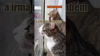 bichinhos que nos entendem 6
