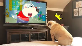 Funny Dog Reaction to Wolfoo From TV 😾🐶  Wolfoo in Real Life ! Funniest Cats And Dogs Videos