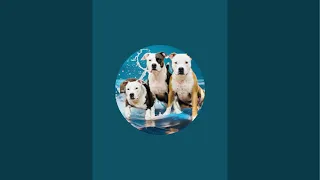 Kira🐶Family sta trasmettendo dal vivo.