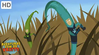 Aventuras com os Kratts - A Cadeia Alimentar (Episódio Completo - HD)