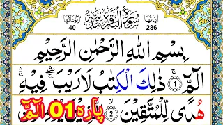 Para 01 Full Pani Patti Tilawat || Juz 01 Complete || Alif Laam Meem Juzz 01 || Pehla Para Full