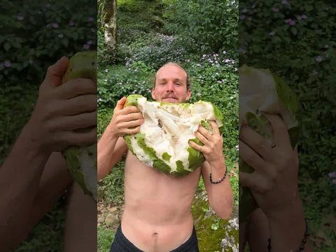Top 5 Fruits (Costa Rica Edition)